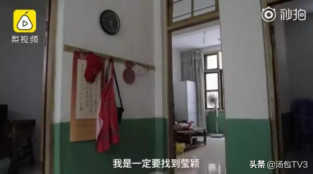 美国章莹颖最新进展深度解析，揭开最新消息，关注案件进展🌟