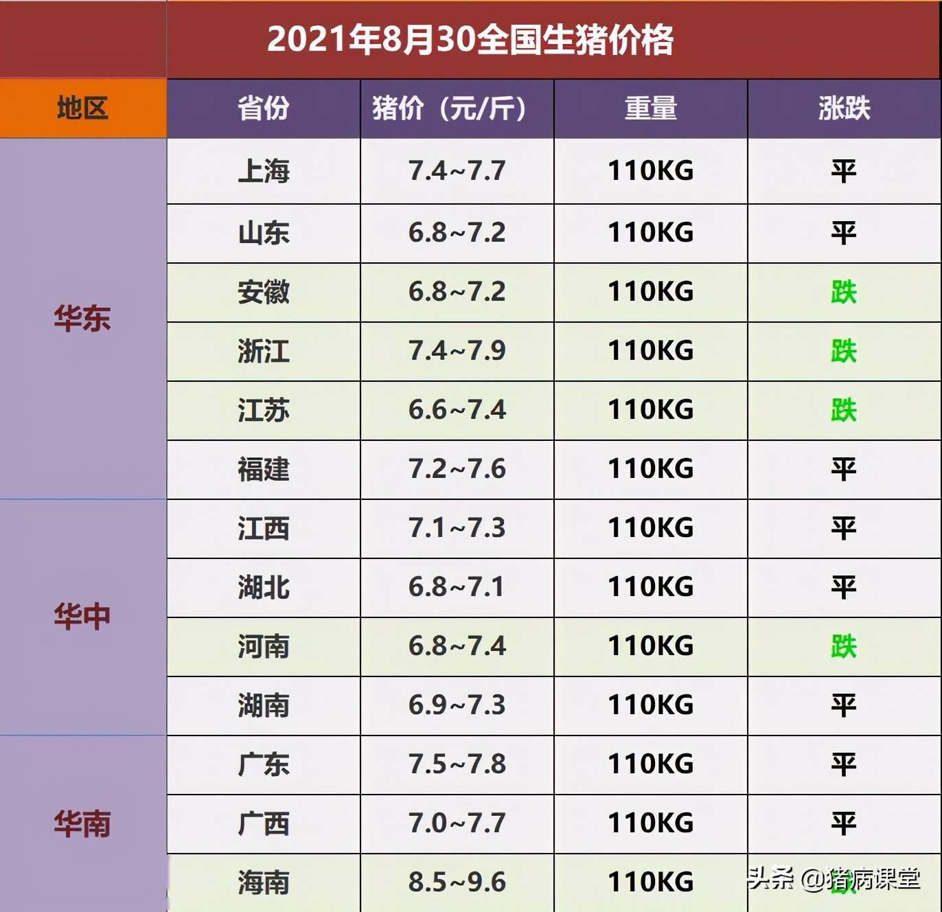 今日猪价格表，开启寻找心灵宁静的奇妙旅程
