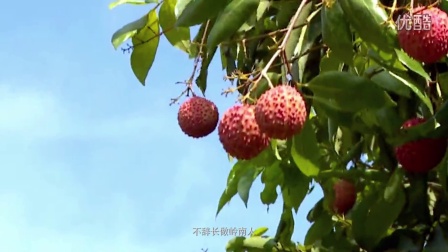象州新鲜资讯，引领未来的高科技产品介绍