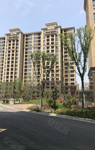 张浦公园壹号全面指南与最新动态更新消息速递