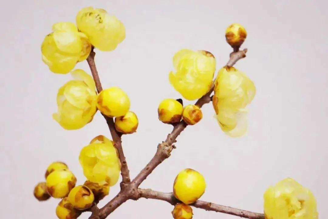 香水上市公司，探索香氛产业的繁荣与价值