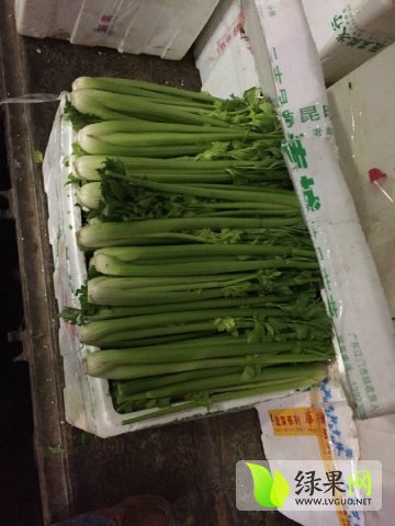 信息技术 第48页