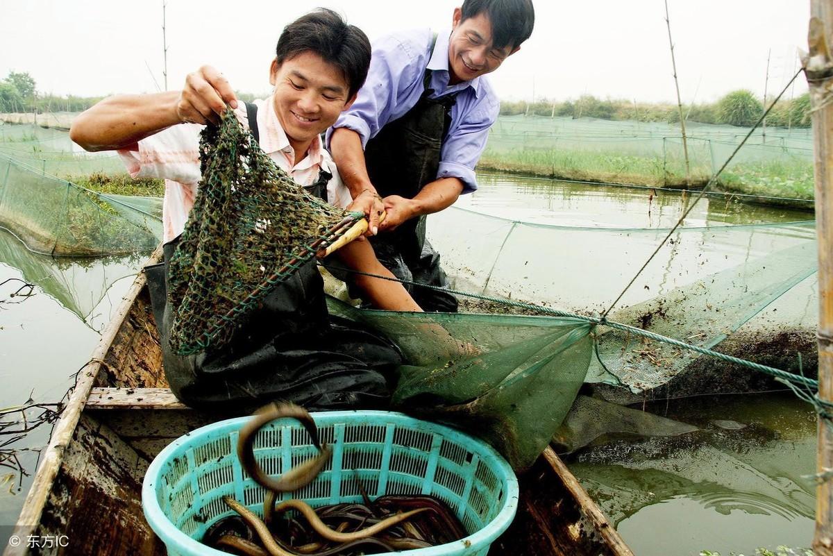 信息技术 第38页