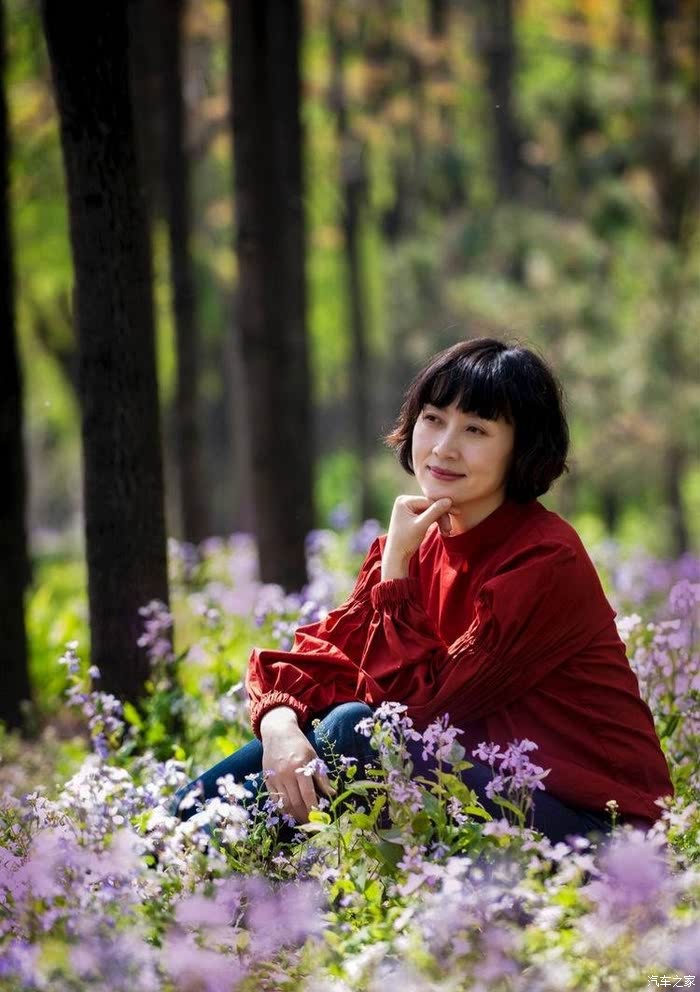 秦的幸福时光最新章节概述