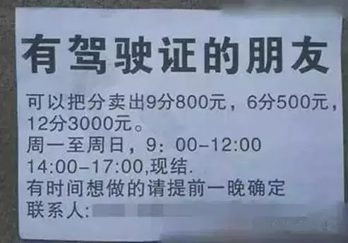最新驾驶证管理规定下的心灵宁静之旅，探索自然美景与内心和谐之道