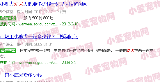 小鹿犬价格详解，多少钱一只？背景、时代地位及影响因素全解析。