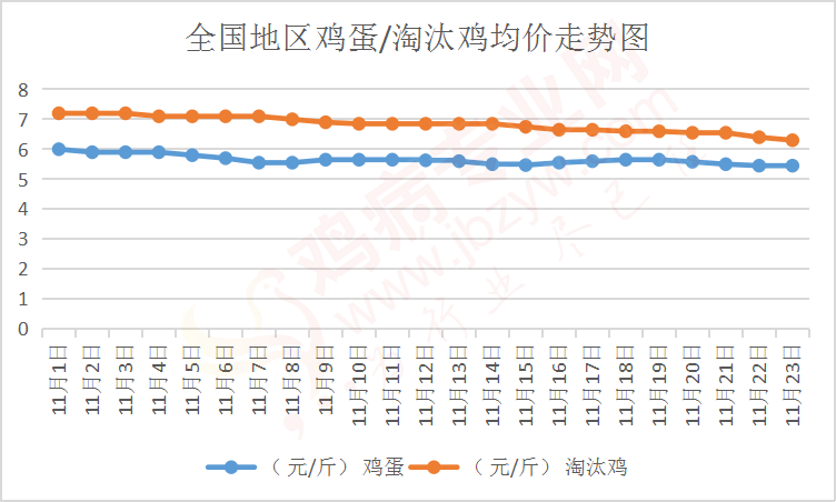 最新淘汰鸡价格动态与寻找内心平静的自然美景之旅