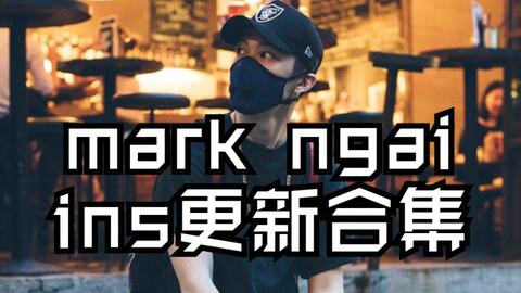 Mark最新动态观点阐述与深度解析