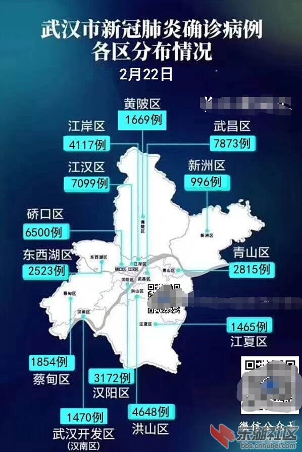 武最新疫情状况及各方观点综述