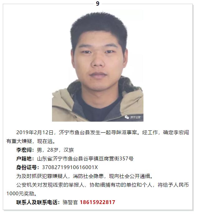 软件开发 第18页