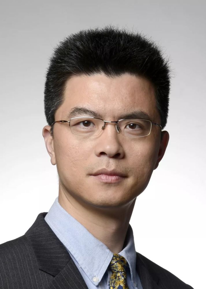 张峻最新观点论述，多维视角探讨现象与观点