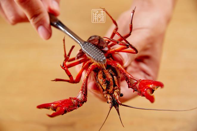 探索最新养殖物种及其前景展望