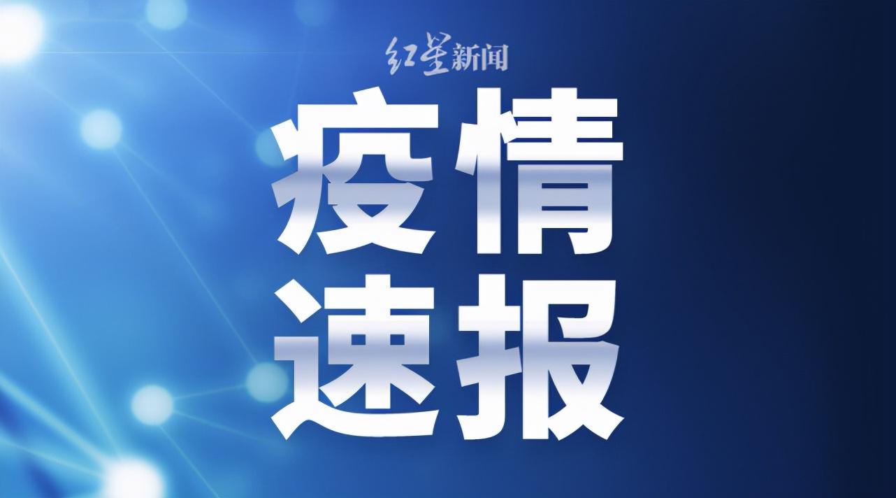 重庆感染最新动态更新，最新动态与进展关注