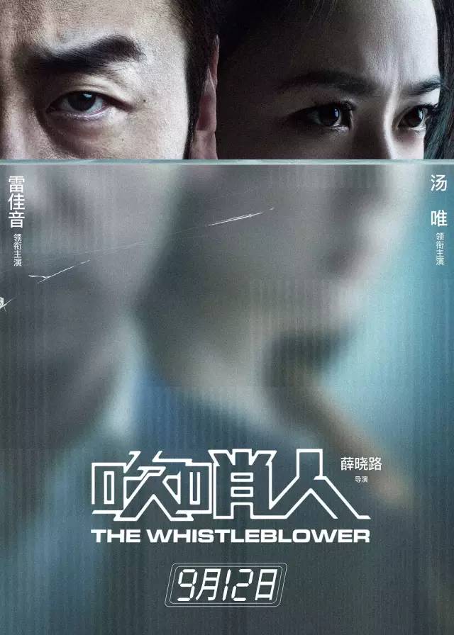 最新电影预告，视觉盛宴的展望与反思