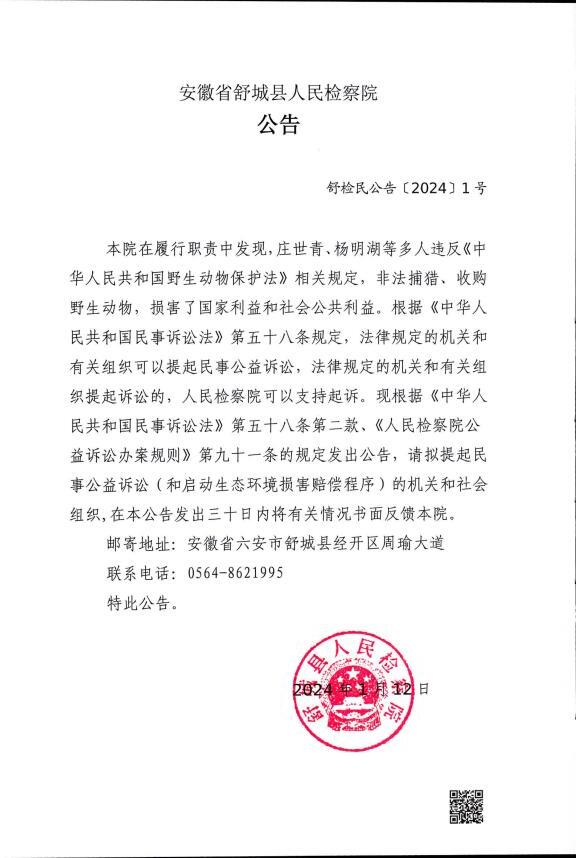 舒城最新案件，科技革新点亮未来智能生活新体验